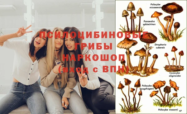 спайс Переславль-Залесский