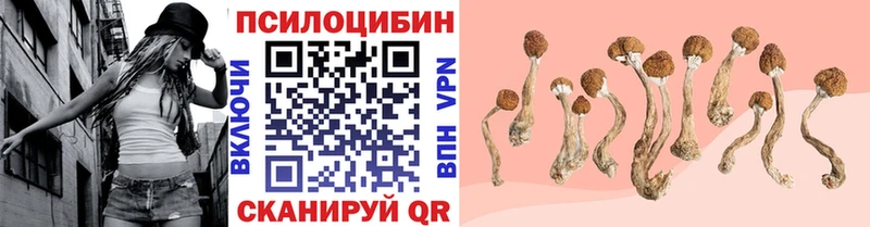 Галлюциногенные грибы MAGIC MUSHROOMS  цена   Мамадыш 